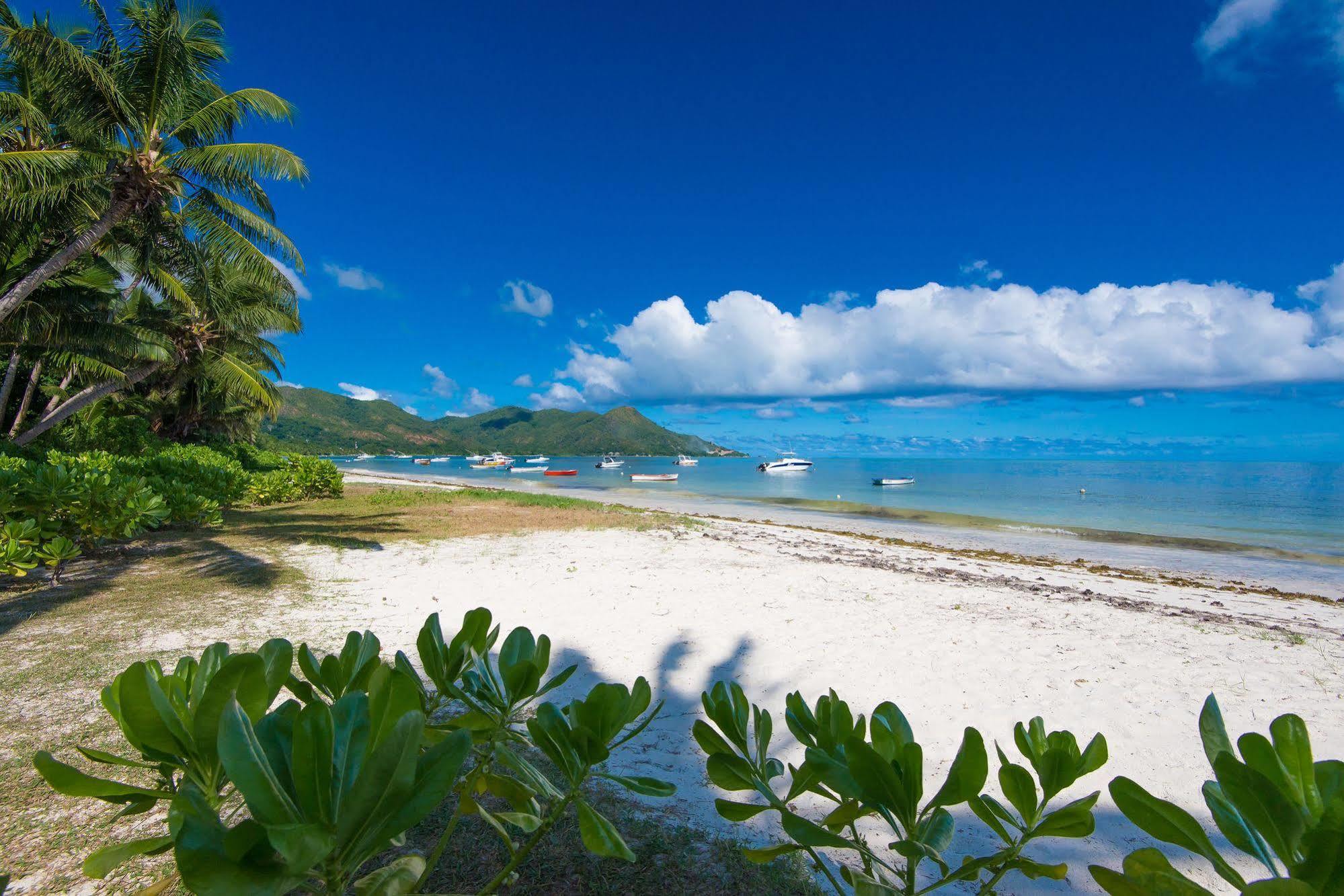 Le Tropique Villa Grand Anse  Exterior photo